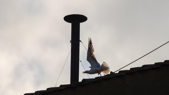 The conclave's black and white smoke indicates if there's a new pope. Here's why the tradition exists.