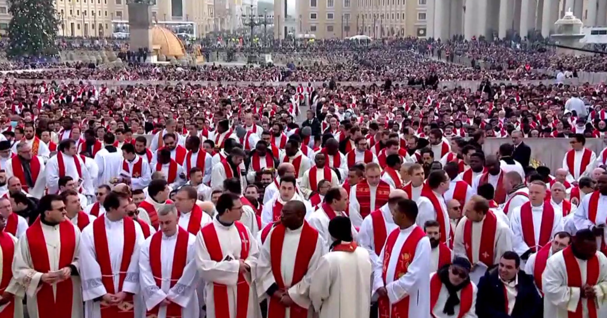 Chicago experts outline work cut out for cardinals in papal conclave ...