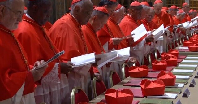 Papal conclave begins to elect Pope Francis' successor | Special Report
