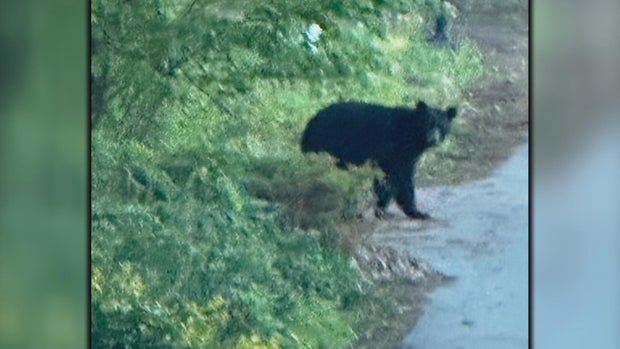 hughes-5pm-pkg-chester-county-bear-050725-frame-1882.jpg 