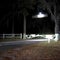 Alligator attacks, kills woman canoeing with her husband in Florida