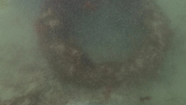 screenshot-2025-05-09-at-12-24-06-pm.png 