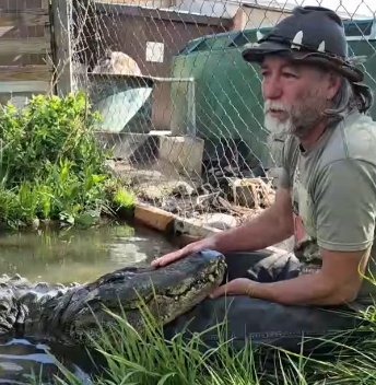 colorado-gator-passes-still-from-colorado-gator-farm-fb-video.png 
