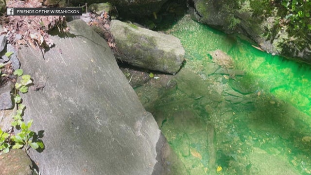 wissahickon-green.jpg 