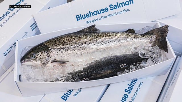p-salmon-farm-wforbifa.jpg 
