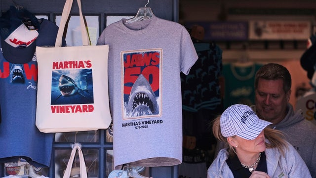 Jaws Anniversary Shark Swim