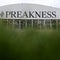 When and where to watch the 2025 Preakness Stakes live tomorrow night
