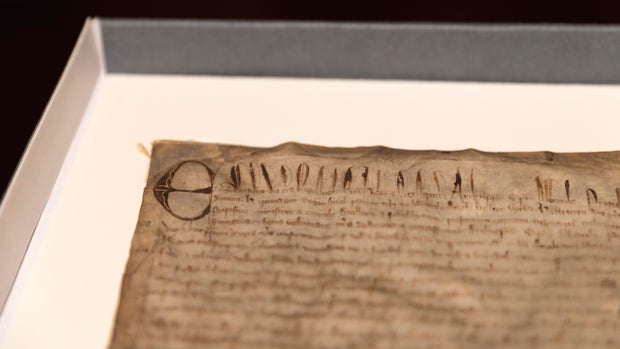Harvard Magna Carta