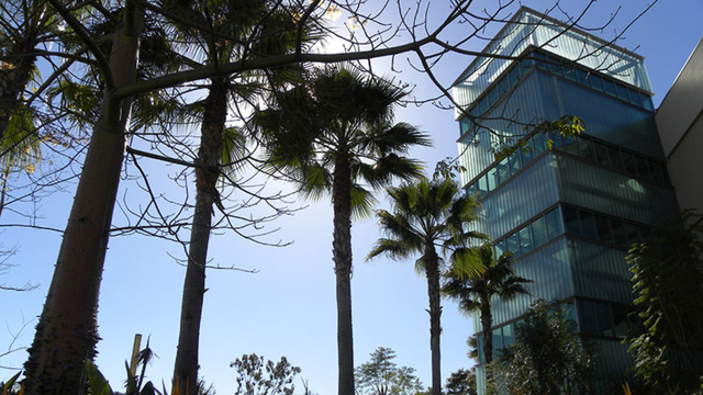 smc-photo-from-santa-monica-college.png 