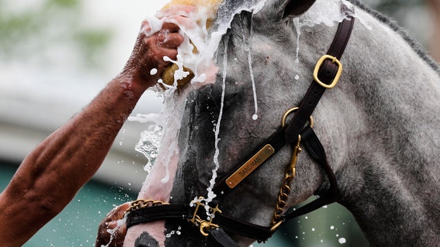 Preakness Horse Racing 