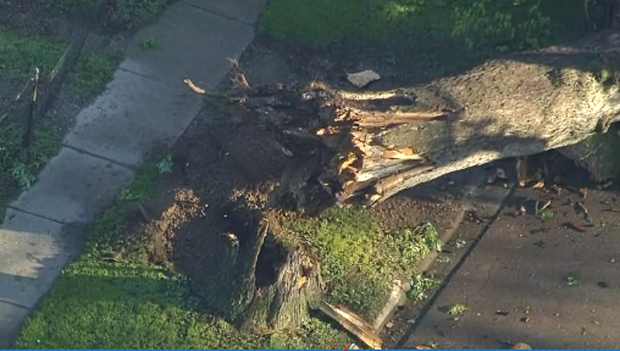 storm-damage-holly-pic-2.png 
