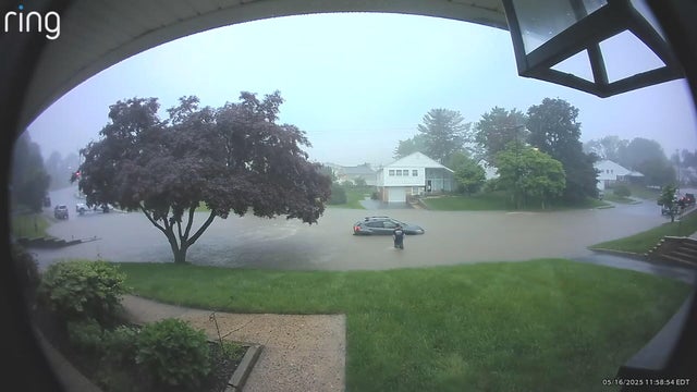 neighbor-to-the-rescue-marple.jpg 