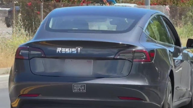 tesla-protest-bumper-stickers.jpg 