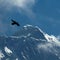 British mountaineer scales Mount Everest for record 19th time