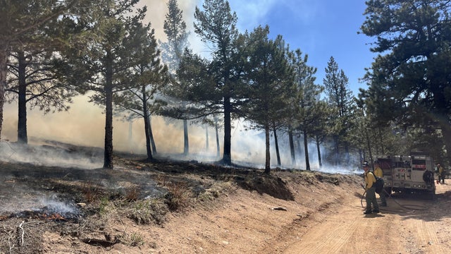 forsythe-ii-prescribed-burn.jpg 