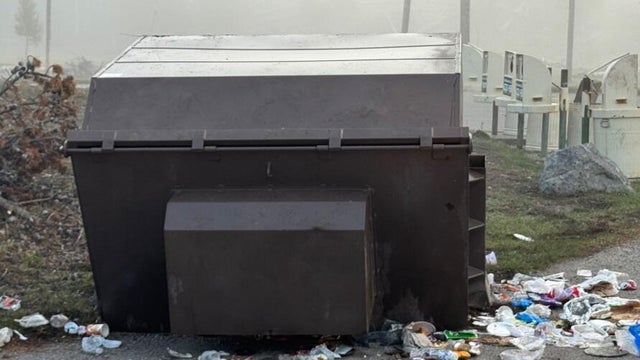 trash.jpg 