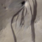 Study suggests scientists were wrong about dark streaks on Mars