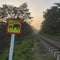Train kills elephant in Sri Lanka's latest wildlife-railway accident