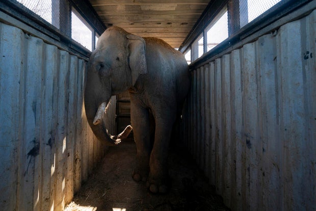 Mexico Violent Animal Shelter Photo Gallery