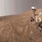 NASA's Mars Perseverance's snaps new selfie with a Martian dust devil