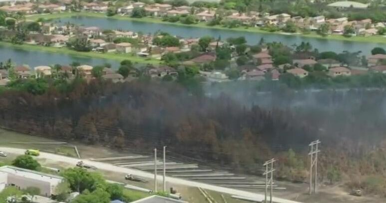 Grass fire reignites in Southwest Miami-Dade