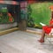 Kermit the Frog to deliver commencement speech at University of Maryland