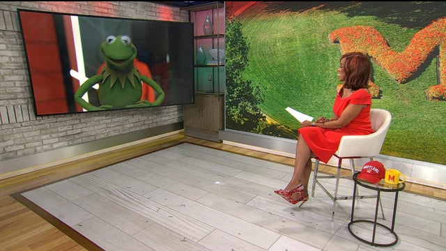 0522-cmo-kermit.jpg 