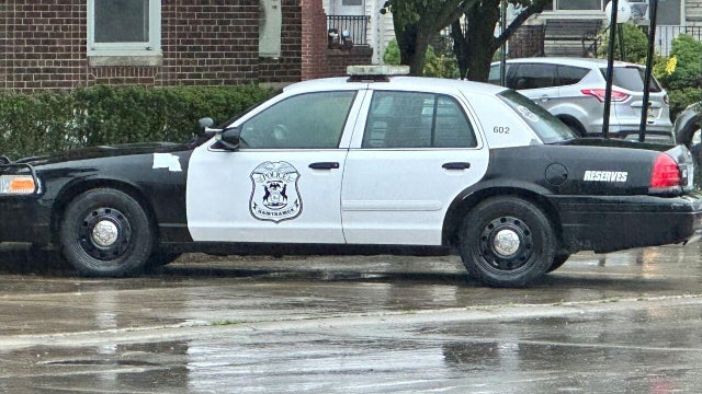 hamtramck-mi-police-car.jpg 