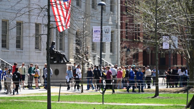 Harvard University sues Trump administration over frozen federal grants 