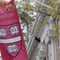 Trump administration says Harvard University can't enroll international students