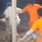 Woman arrested in Louisiana jailbreak case as manhunt continues