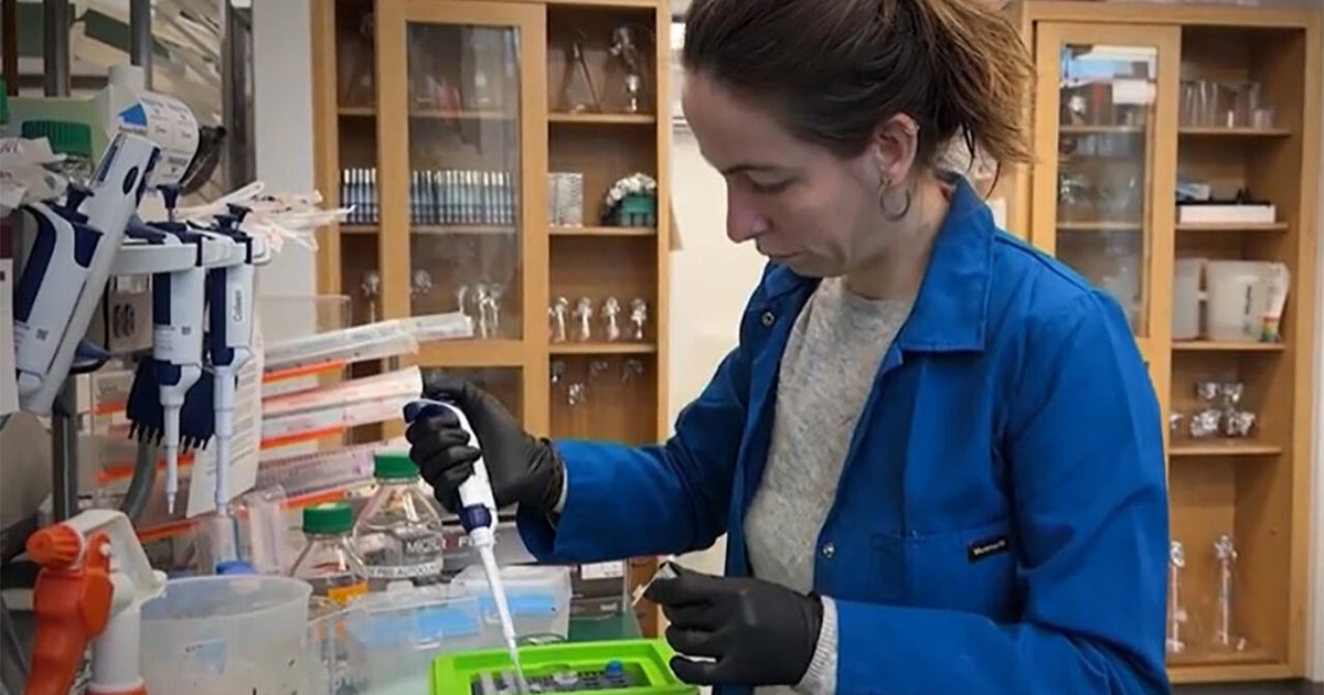 Health expert calls Trump’s medical research cuts “reckless destruction” Health expert calls Trump’s medical research cuts “reckless destruction”