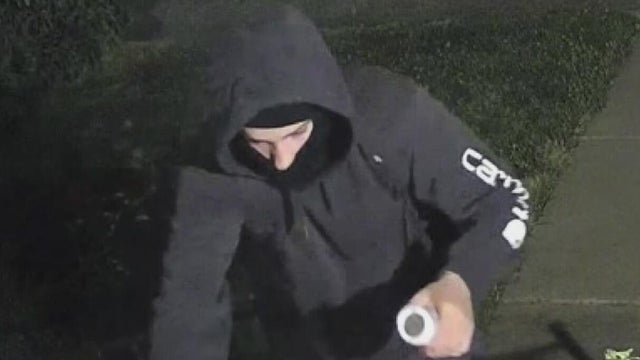 roseville-vandal.jpg 