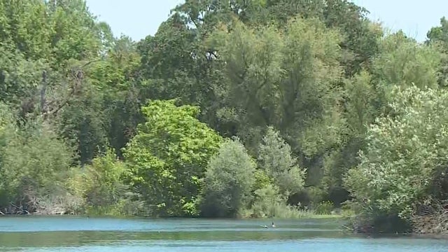 american-river-trees.jpg 