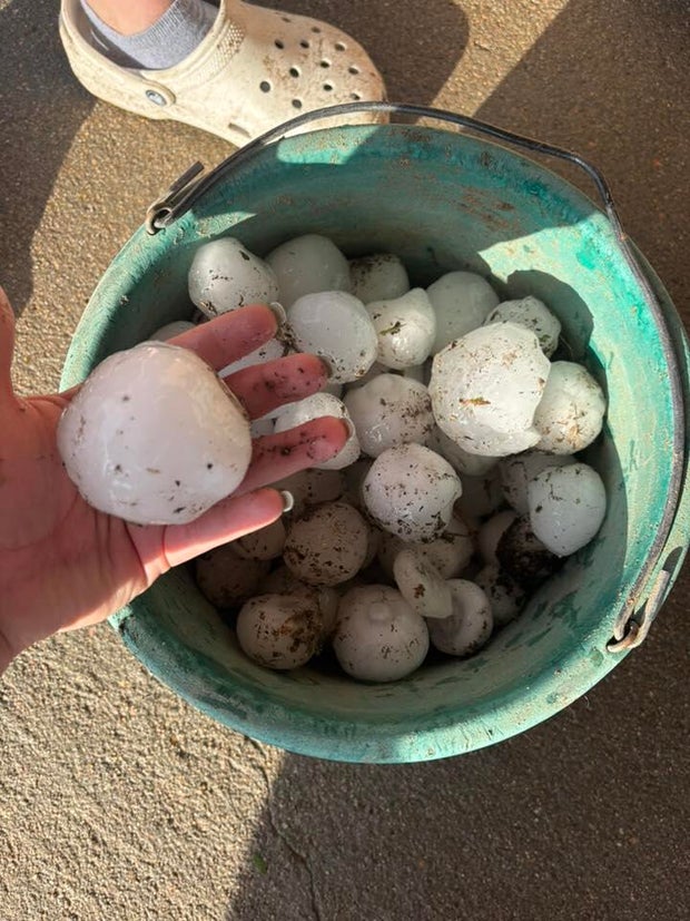 merino-hail-courtesy-kendra-hooton.jpg 