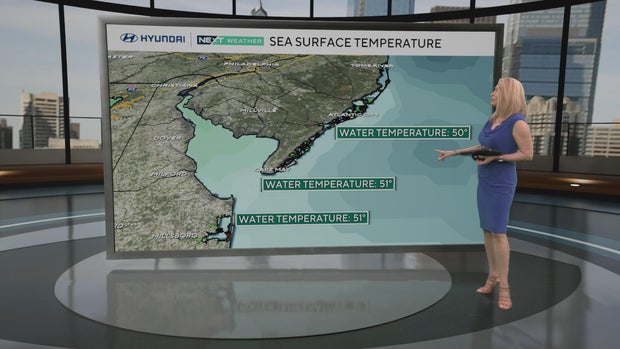 Ocean surface temperatures 