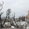 California wildfires left behind 9 billion pounds of toxic ash and debris | 60 Minutes