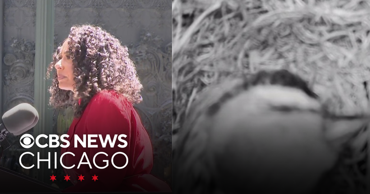 Audrina Sinclair honors mother, bird caught on camera | What Caught My ...