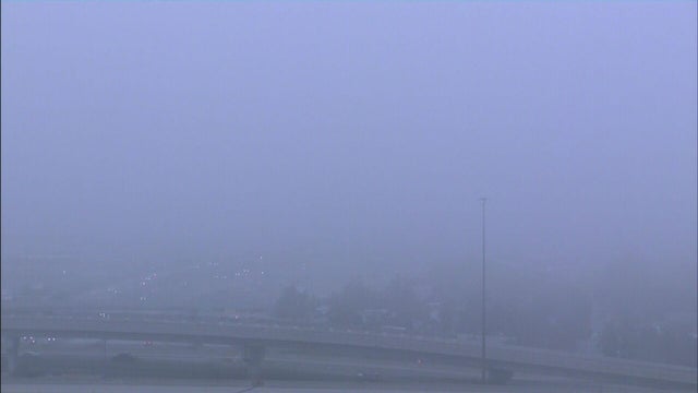 foggy-mousetrap-cam-frame-3915.jpg 