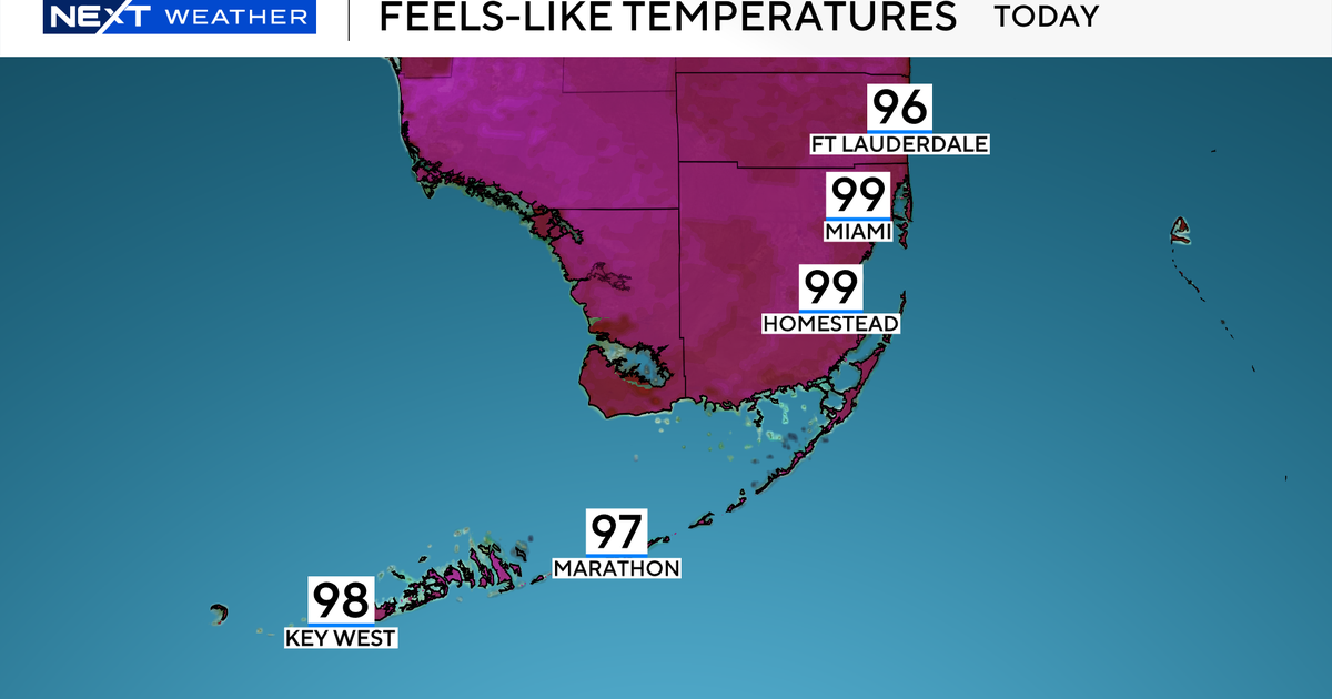 Scattered showers and near 100-degree heat in South Florida forecast as daily rain chances grow