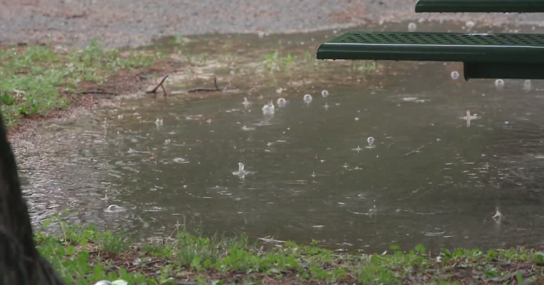 Showers possible in Twin Cities for next few days 