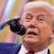Potential path for Democrats under Trump's 2nd term