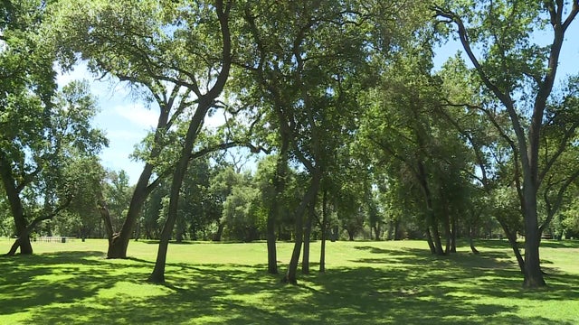 ancil-hoffman-park.jpg 