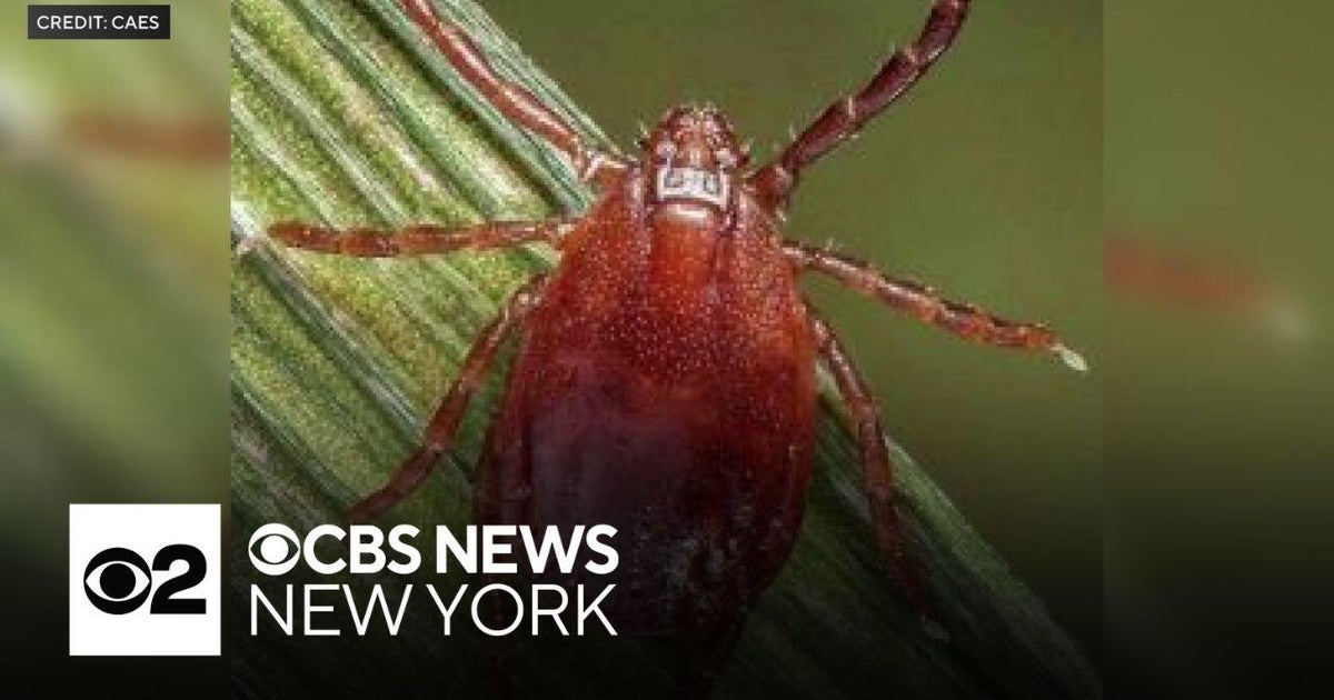 Invasive Disease-Carrying Ticks Detected Connecticut, Pennsylvania, Montana