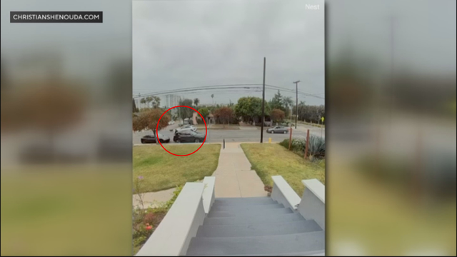waymo-doesnt-run-over-dog.png 