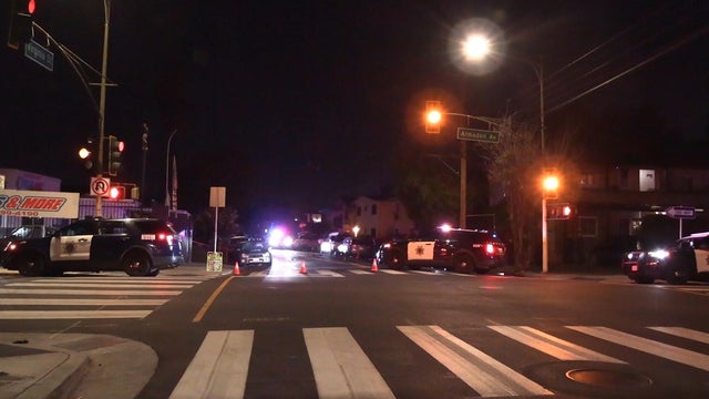 San Jose hit and run crash pedestrian killed 