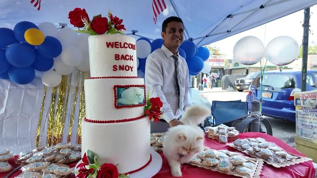 A three-tier cake with a photo of a Persian cat on it and the words "Welcom back Snoy." The Persian cat walks on the table next to the cake as a man pets it. 