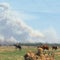 More than 170 wildfires burn in Canada