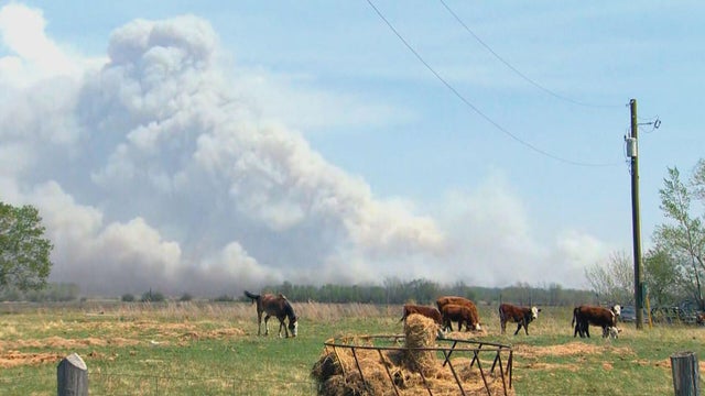 wildfire.jpg 