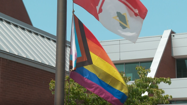 pride-flag.png 